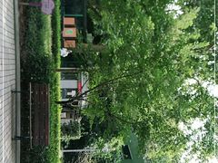 -徐家汇源景区-衡山公园