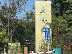 -东莞市大岭山森林公园