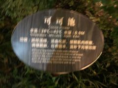 -灵秀温泉