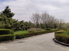 -长春公园(普阳街道)