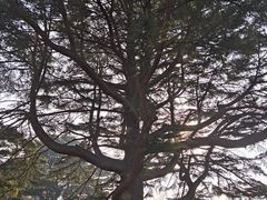 -青岛德国总督楼旧址博物馆
