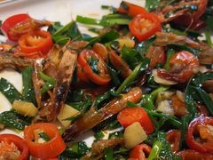 -61号餐吧(兴坪古镇漓江店)