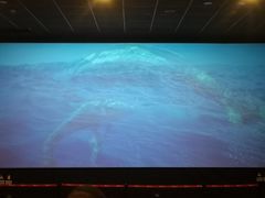 -卢米埃影城(合生广场IMAX店)