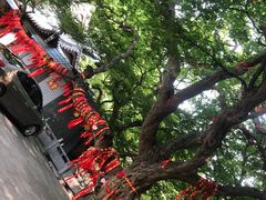 -青檀寺景区