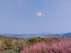 -香雪海