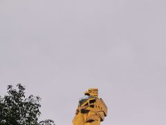 -南山植物园