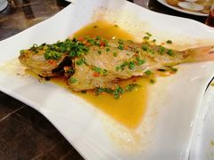 -陆记鹅庄·潮汕菜·狮头鹅(大仟里店)