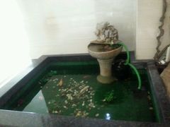 android_upload_pic-国家五钻酒家·西樵旺阁渔村(西樵店)