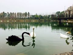 -上海怡沁园度假酒店