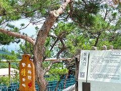 -沂蒙山旅游区龟蒙景区