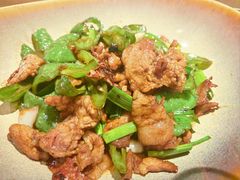 辣椒炒肉-青年公社烤鸭(蜀山万象汇店)