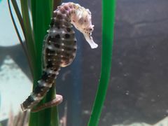 -沈阳海洋探索中心