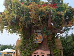 -青岛方特梦幻王国