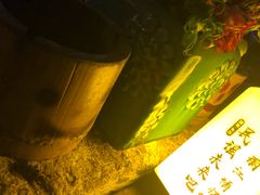-民谣未来吧