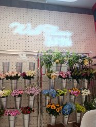 -云南吴氏嘉美医疗美容医院