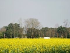 -中国天府农业博览园