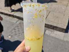 -罗子龙罗家桂花汤圆(曹都巷店)