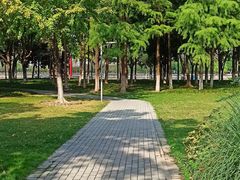 -西北湖绿化广场