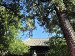 -红螺寺