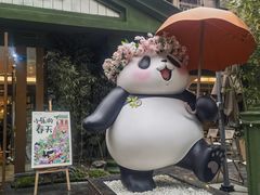 -轩客会(熊猫书店)