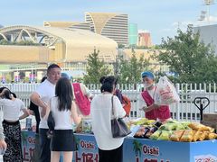 -杭州奥体中心-体育场