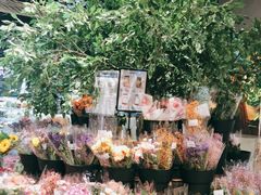 景观位-盒马鲜生(皇庭广场店)