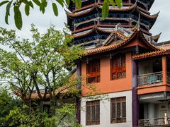 -铁山坪森林公园