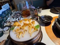 -芸山季·云南山珍菌火锅(南翔印象城MEGA店)