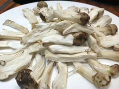 -顺德了能馆(虎门店)