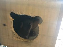 -MOJO密室逃脱(中街旗舰店)