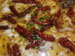 -首秀·四川料理(星耀101店)
