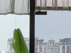 -丘中有甜(乐清·江南里店)