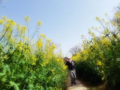 -田园东方蜜桃村的田野营地