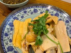 -九斤黄三黄鸡专卖店