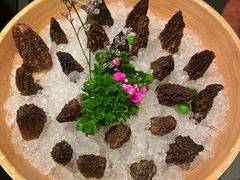 -季季山·云南野生菌火锅(上海首店)