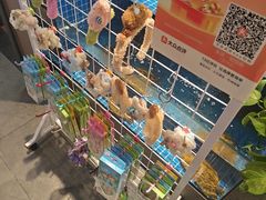 -涿派·炝锅鱼(涿州店)