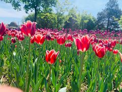 -长春公园(普阳街道)