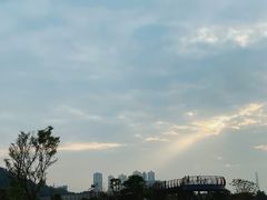 -王借岗森林公园
