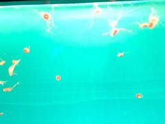 -多彩贵州城极地海洋世界