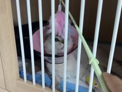 -谐和贝康宠物医院24小时·宠保定点(急重症转诊中心)