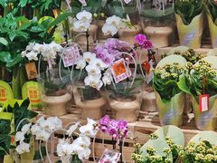 -沃尔玛购物广场(中山店)