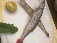 -黑松白鹿(金融街店)