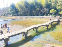 -兰亭风景区