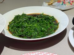 -圆苑(静安寺店)