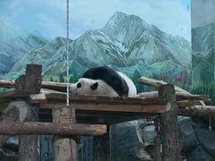 -武汉动物园
