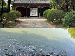 -建水文庙