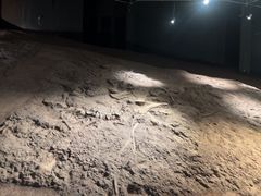 -世界恐龙谷景区