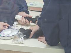 -全心全意连锁动物医院·微创中心·内科急重症·心脏专科(丰管路店)