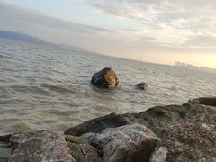 -深圳湾公园(南山区)