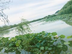 -长圻码头